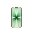 iPhone 17 2