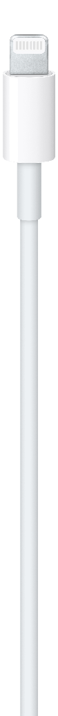 Câble USB-C vers Lightning (1 m) 3